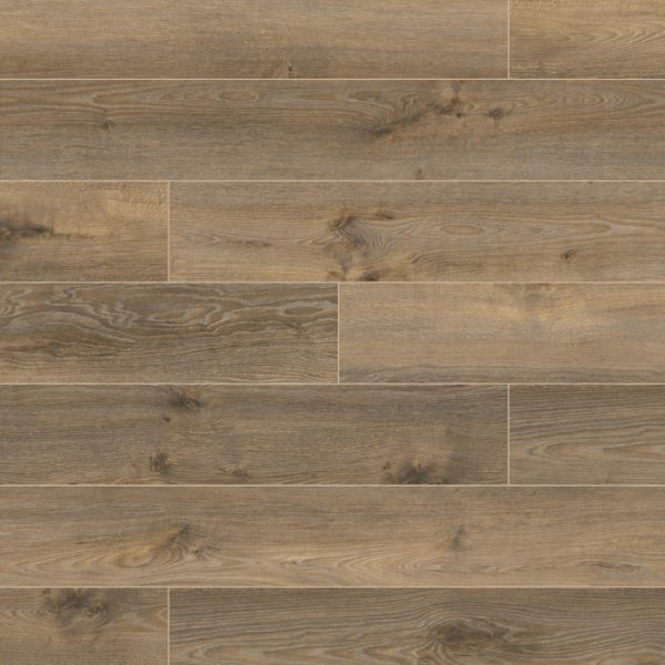 Variostep_classic Andromeda K417